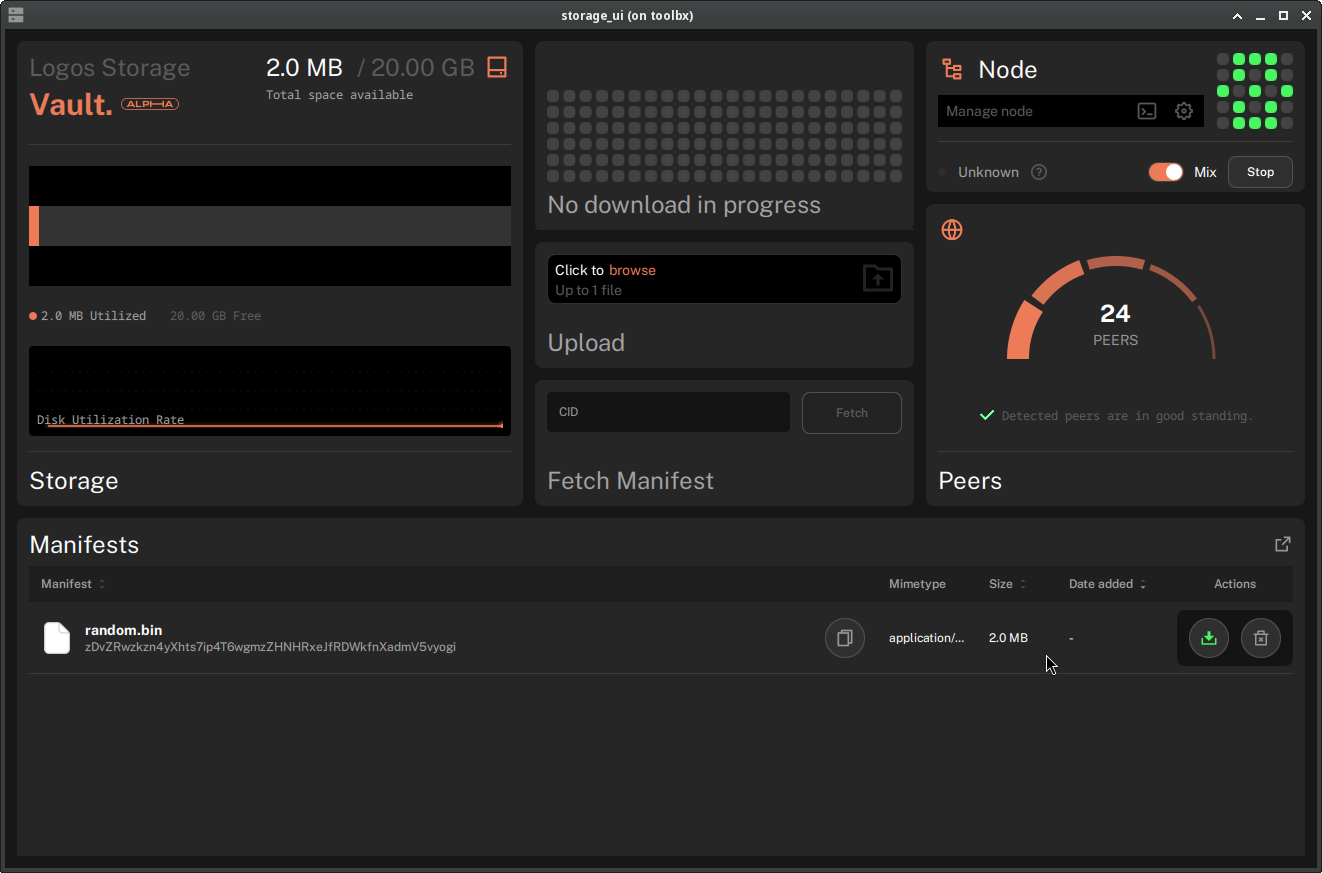 Storage UI dashboard with the node running