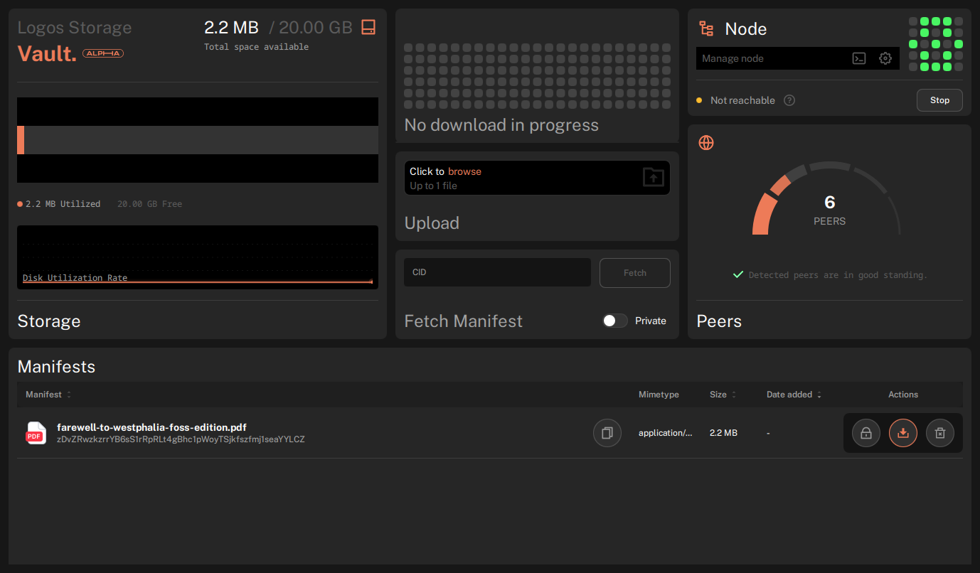 Storage UI dashboard with the node running